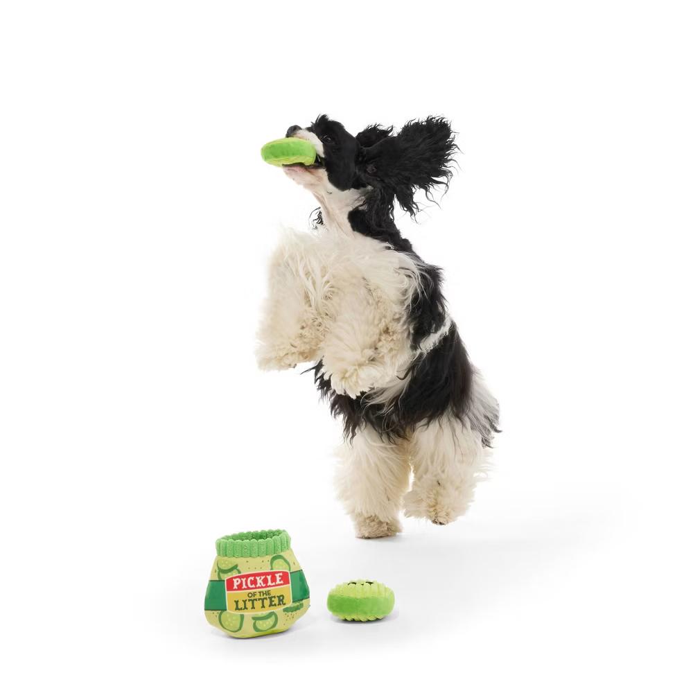 Pickle Dog Toy - Pickle of the Litter: Holds Treats, Squeaks, Plush Food Shaped, Small to Medium Breeds - Image 4