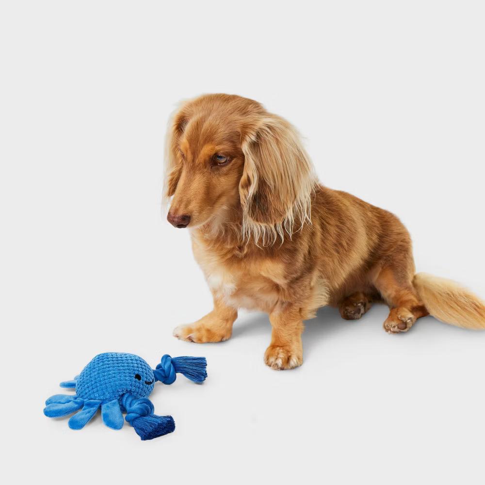 8.5" Blue Crab Dog Rope Plush Toy - Image 4