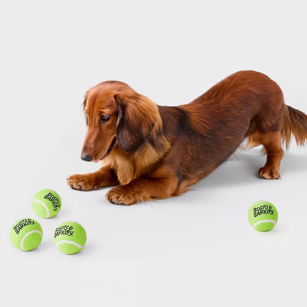 Tennis Ball with Squeaker Dog Toy - Image 3