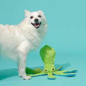 Billy The Squid Dog Toy - Green: Squeaks, All Ages, Plush Animal, Fetch & Cuddle