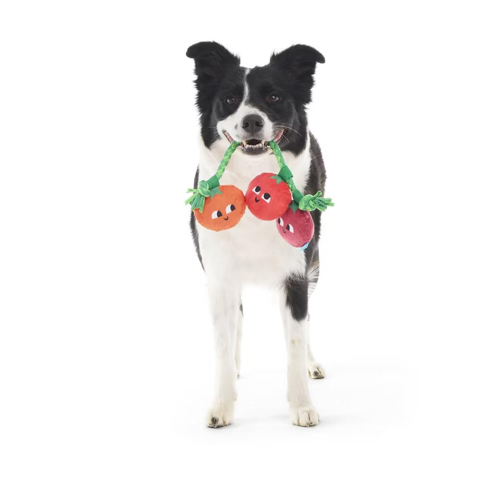 Tomato Dog Toy - The Vine Trinity - Image 5