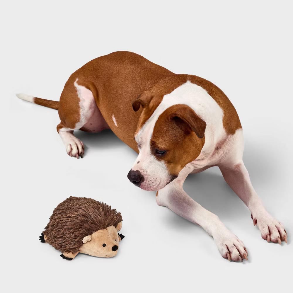 Grunting Hedgehog Dog Plush Toy - Medium Breed, 0.187 lb, Cuddle Activity - Image 3