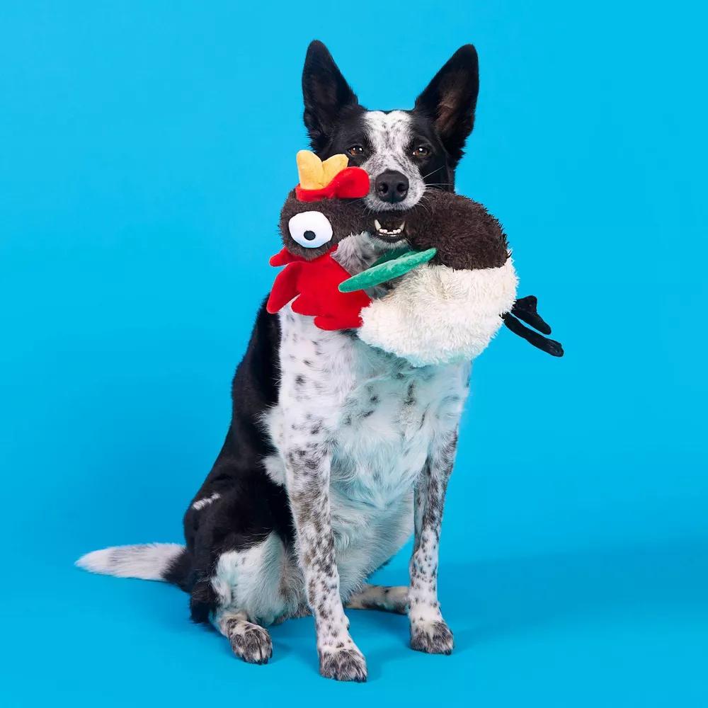 Cock-a-Doodle-Chew Dog Toy