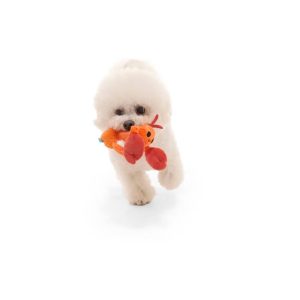 Crawfish Dog Toy - Della Crawfish: Squeaks, Crinkles, Small Breed, Chew & Fetch Activities