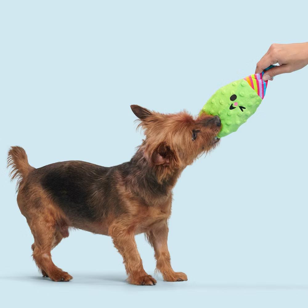 Party Pickle Phil Dog Toy: Squeaks, For All Sizes, Food Shaped, Cuddle