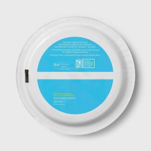 Disposable Plates 10" - Blue/Green Checkered - 24ct