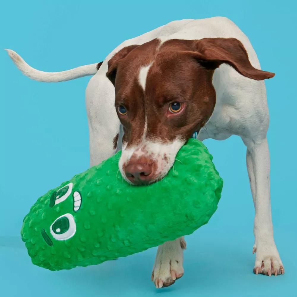Big Dill Bill Pickle Dog Toy - Green: Squeaks, Crinkles, All Ages, Fetch & Cuddle - Image 3
