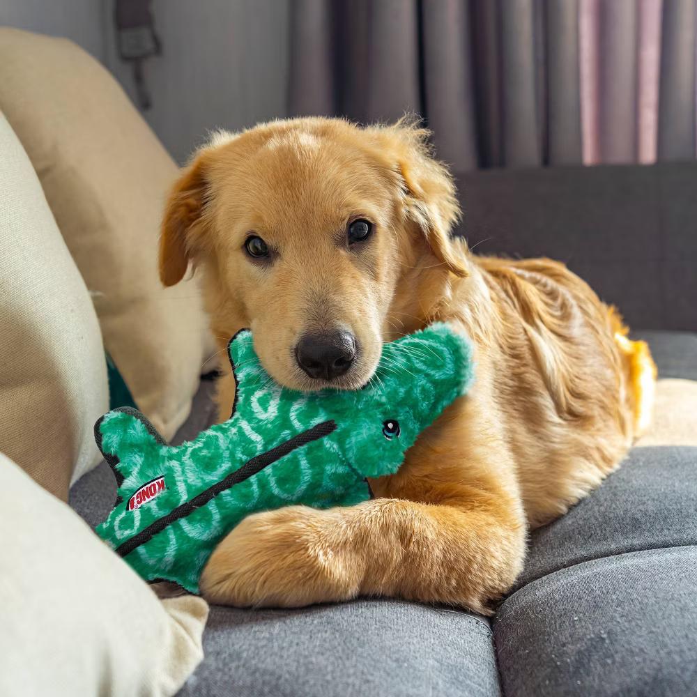 KONG Tough Plush Gator Dog Toy - Green: For Medium & Large Dogs, Occupy & Cuddle Activity - Image 3