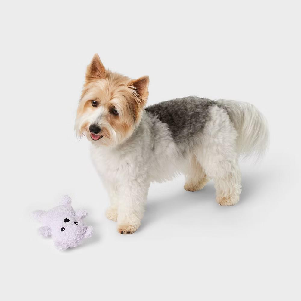 Bear Plush Puppy Dog Toy - Purple: Scented, Squeaks, Crinkles, Cuddle