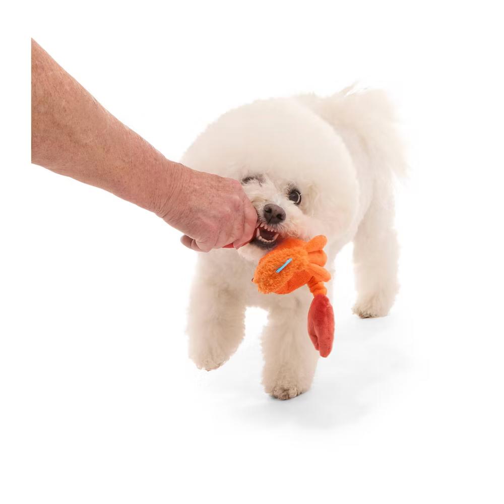 Crawfish Dog Toy - Della Crawfish: Squeaks, Crinkles, Small Breed, Chew & Fetch Activities - Image 2