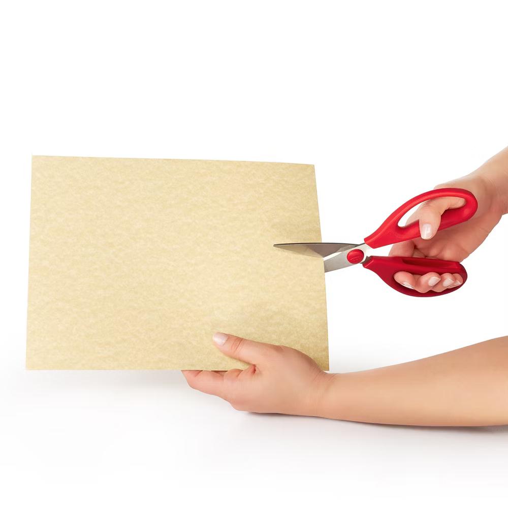 Kitchen Shears - Image 3