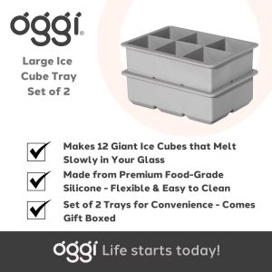 Oggi (Set of 2) Large Square 6 Cube Ice Trays Gray
