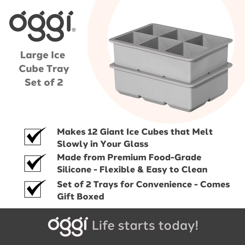Oggi (Set of 2) Large Square 6 Cube Ice Trays Gray