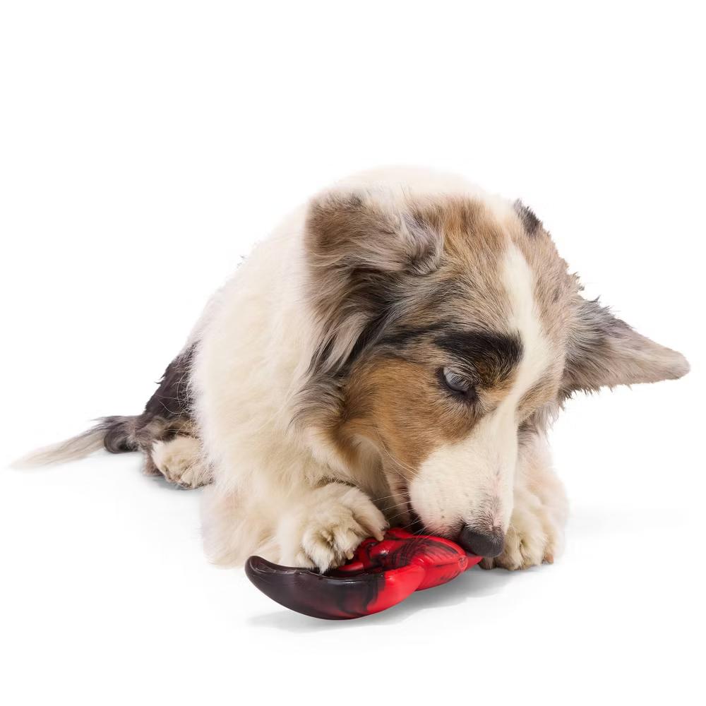 Bat Super Chewer Dog Animal Toy - Image 4