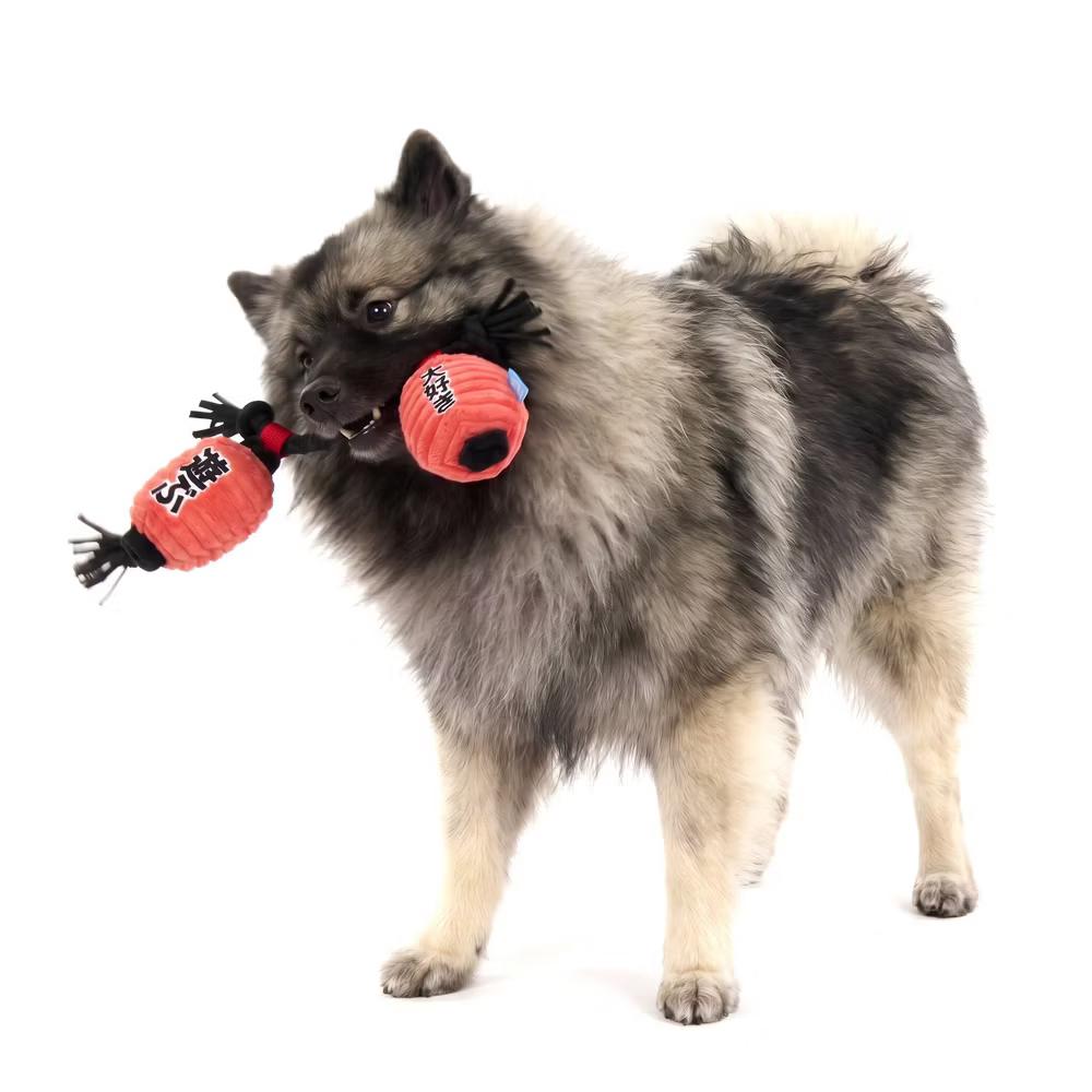 2.5" Pupper Lanterns Dog Rope Toy - Image 5